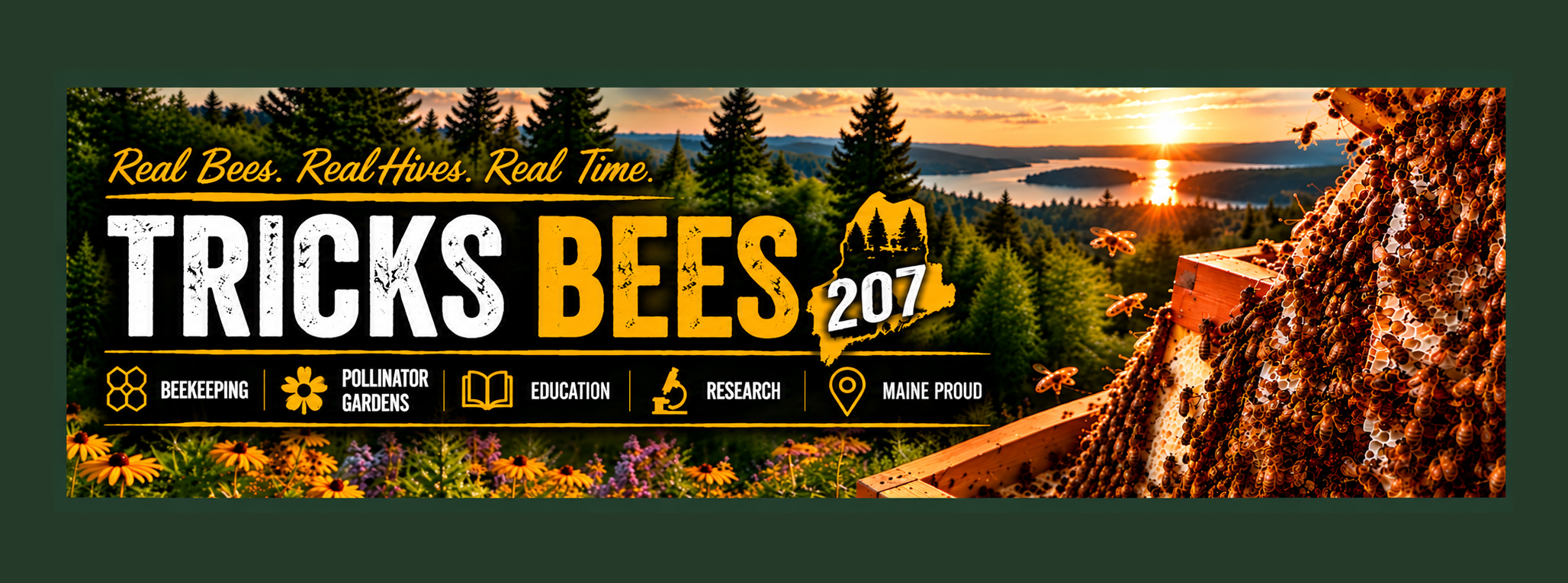 Tricks Bees 207 - Real Bees. Real Hives. Real Time.